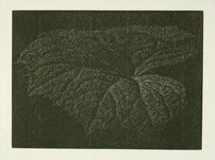 Pestwurz by Franz Gertsch, 1994