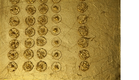 Liz Glynn (American, 1981)