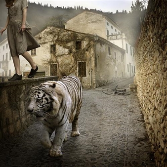 Tom Chambers: Edge of a Dream - Modernbook Gallery