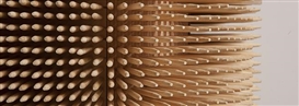 Sebastian Errazuriz (American, 1977)