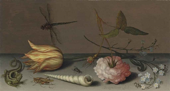 A tulip, a carnation, spray of forget-me-nots, with a shell, a lizard and a grasshopper on a ledge, a dragonfly in flight by Balthasar van der Ast