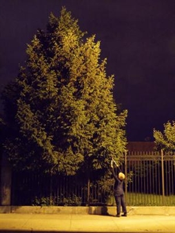 The Perception of Wilderness in The Garden of Us - Five Myles