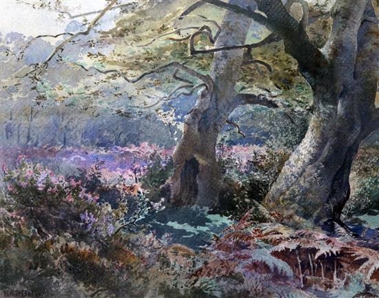 A study in the New Forest by Henry Richard Beadon Donne