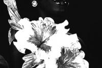 Rooted Movements - LMAKgallery 