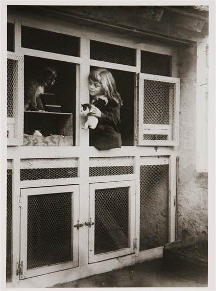 Amélie Galup 1 Artworks at Auction MutualArt