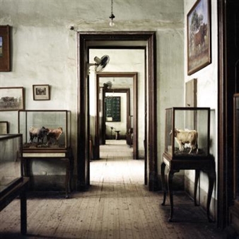 Interiors - Flowers, New York