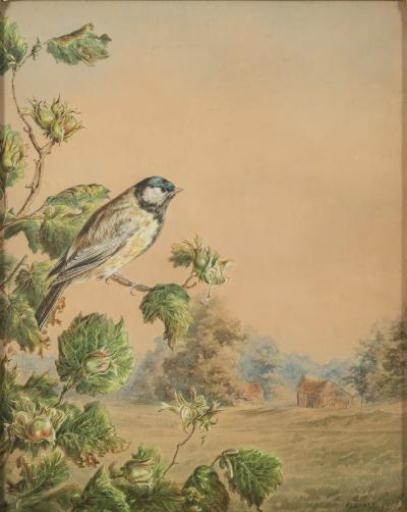 Blue tit on a hazelnut branch by Harry Bright, 1875
