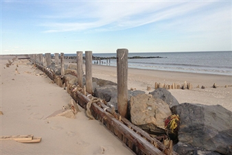 Rockaway! - MoMA PS1