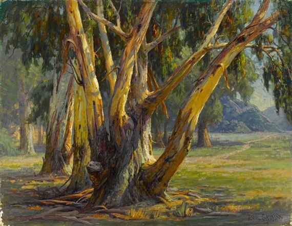 Old Eucalyptus by Paul Grimm