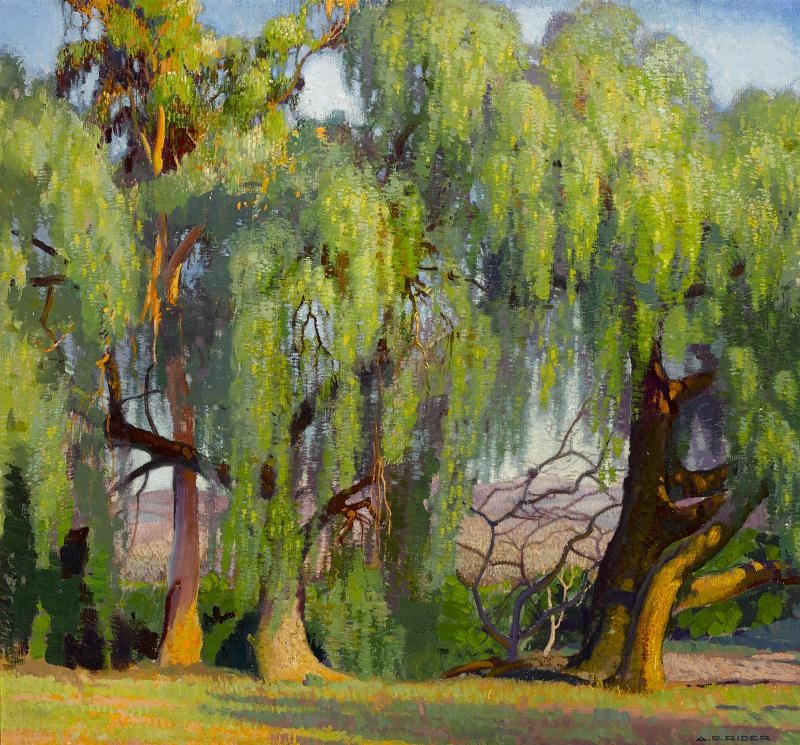 Arthur Grover Rider | Pepper trees | MutualArt