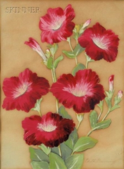 Geranium and Petunias - Edith Elizabeth Tuhner Bruning