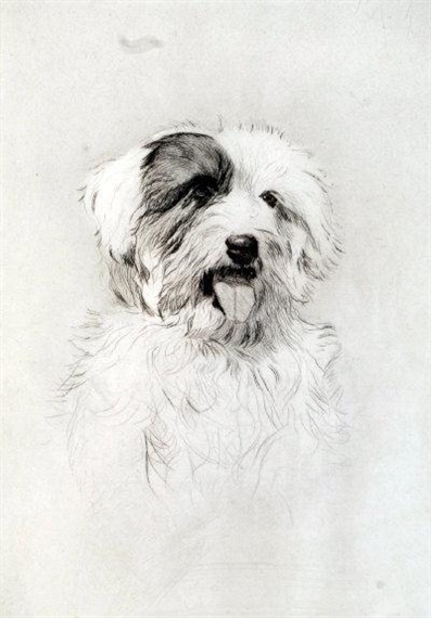 2 works; Pair of dog portraits by Harry Goffey
