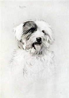 2 works; Pair of dog portraits - Harry Goffey