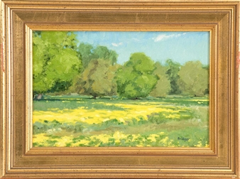 A sun-kissed meadow - Bridger Konkel