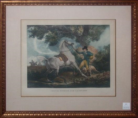 Téléchargement numérique d'un cheval effrayé par un lion - George