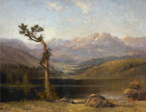 Untitled (Lone Tree) by Raphael Lillywhite