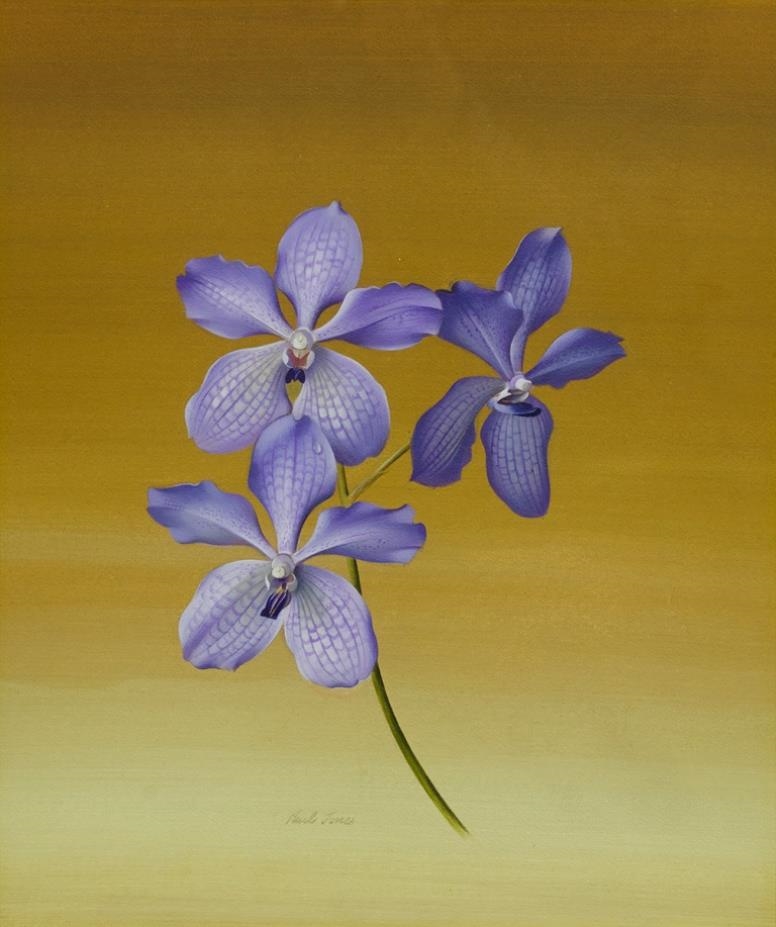 Purple Orchid by Paul Osborne Jones
