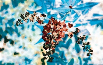 Omar Zeidan: Transformations - Salwa Zeidan Gallery