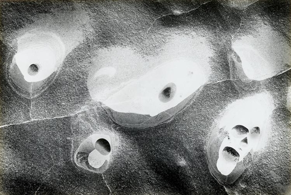 POINT LOBOS by Wynn Bullock, 1970