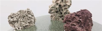 Nicolas Lobo: D.O.W. - Frey Norris Gallery