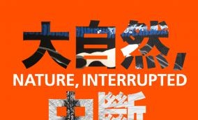 Nature, Interrupted - Identity Art Gallery