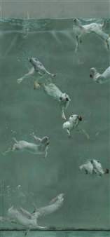 Zhou Hongbin: Aquarium - Amelia Johnson Contemporary