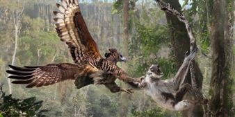 Extinct Madagascar: Picturing the Island's Past - The Field Museum