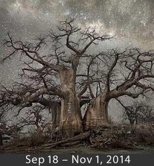 Beth Moon, Diamond Nights - Corden Potts Gallery