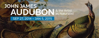 John James Audubon and the Artist as Naturalist - Crystal Bridges Museum of American Art
