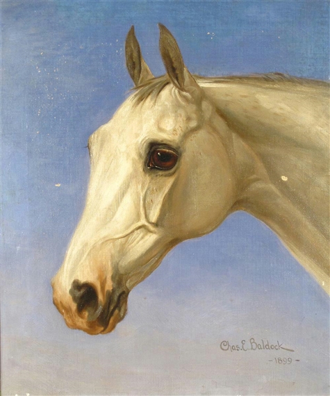 Study of a horse's head by Charles Edwin M. Baldock, 1899