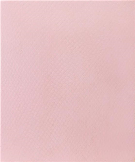 Bulb Bag by Michelle Grabner, 1996