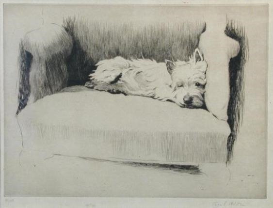 Boss Eyed Peter by Cecil Aldin