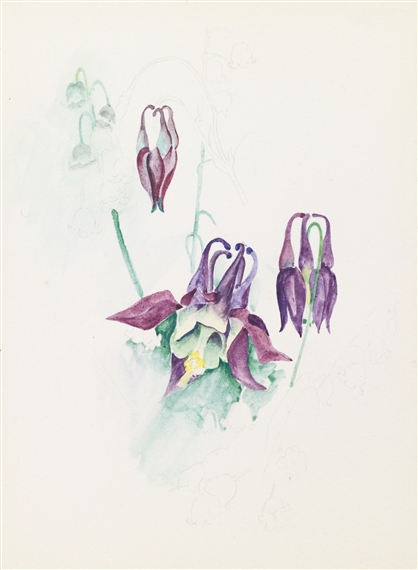 UNTITLED (FLOWERS) by Georgia O'Keeffe, 1930
