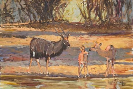 Nyala at the Shaded Waterhole