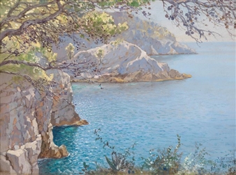 The coast near Dubrovnik - Johann Seits