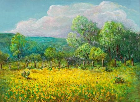 Brown-Eyed Susans, Elmendorf, Texas by Carl Thomas Hoppe, 1977