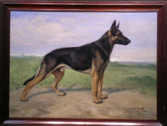 GRAND CHAMPION 'ERICK VON GRAFENWORTH', A GERMAN SHEPHERD by Gustave Muss-Arnolt, 1922