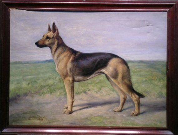 GRAND CHAMPION 'ANNI VON HUMBOLTSPARK' - A GERMAN SHEPHERD by Gustave Muss-Arnolt, 1922