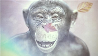 Teen Paranormal Romance - Atlanta Contemporary