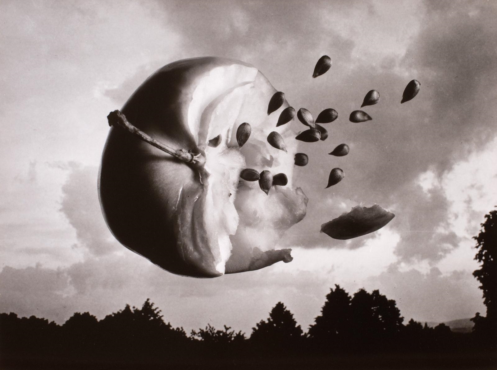 Artwork by Jiří Stach, Konec léta, Made of vintage gelatin silver print