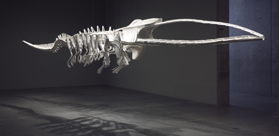 Brian Jungen: Vienna - Winnipeg Art Gallery