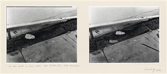 Diptych: Toy Boat Afloat in Small Pond, Upon Setting Sail, Sinks Reflection - Robert Cumming
