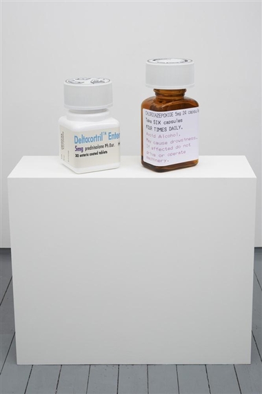 Damien Hirst: Schizophrenogenesis - Paul Stolper
