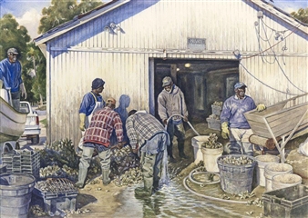 Bluffton Oysterman - Aileen Campbell