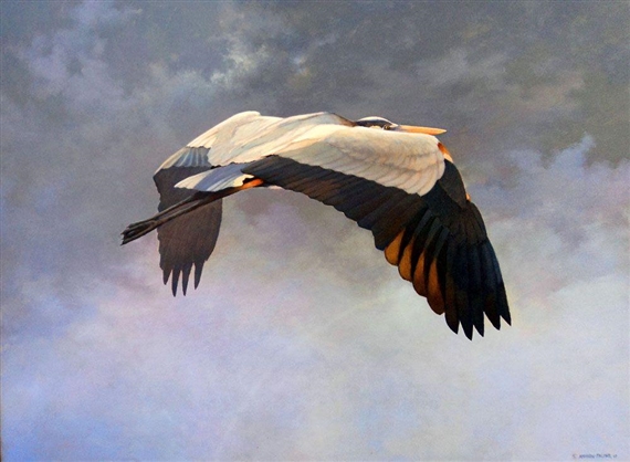 Flight by Addison Palmer