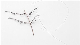 Rosana Castrillo Diaz (Spanish, 1971)