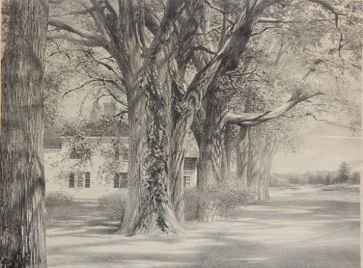 Spring on Pleasant Street by Stow Wengenroth, 1958