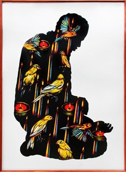 Plates of Light - Grace Graupe-Pillard