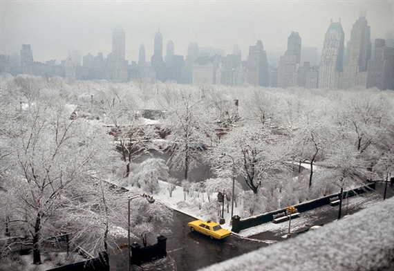 Drive In - Galerie Esther Woerdehoff, Paris