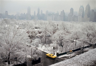 Drive In - Galerie Esther Woerdehoff, Paris